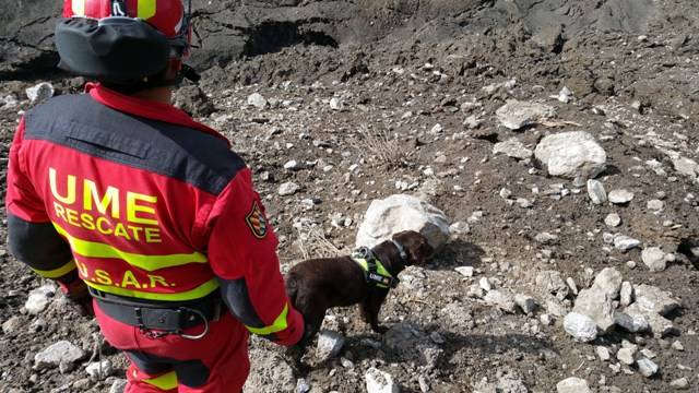 El uso de los perros de rescate es otra capacidad que utiliza, como tras el terremoto de Nepal, cuando se usaron los especializados en rescate de víctimas enterradas (foto UME).