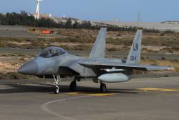 Desde este F-15D se realizaron las fotos del reportaje. (foto: Julio Ma�z/defrnsa.com)