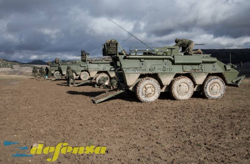 Aquí podemos ver varios BMR del BZ VII preparados para un ejercicio de tiro Aquí podemos ver varios BMR del BZ VII preparados para un ejercicio de tiro