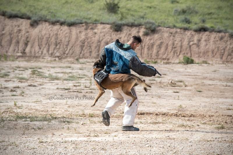 Su misión principal es la lucha contra elementos terroristas y ejecución de operaciones que entrañen gran riesgo y requieran una respuesta rápida. Su misión principal es la lucha contra elementos terroristas y ejecución de operaciones que entrañen gran riesgo y requieran una respuesta rápida.