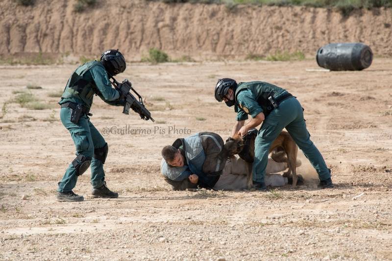 Sus cerca de 500 integrantes están en posesión del curso de adiestramientos especiales (imprescindible para la pertenencia al GAR) además de superar una evaluación anual. La pérdida de condiciones físicas (entre otras cosas)pueden llevar a cursar baja en el grupo. Sus cerca de 500 integrantes están en posesión del curso de adiestramientos especiales (imprescindible para la pertenencia al GAR) además de superar una evaluación anual. La pérdida de condiciones físicas (entre otras cosas)pueden llevar a cursar baja en el grupo.
