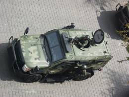 SANDCAT MEXICANO (J. MONTES)