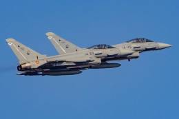 Eurofighter del Ala 14 (foto Ejrcito del Aire)