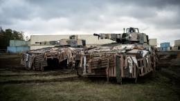 Pareja de blindados Panzergrenadier, con esquema de pintura espec�fico (Heer)