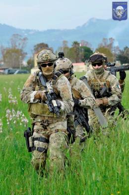 El 17� Stormo Incursori de la AMI italiana est� en proceso de recibir nuevas armas personales y de apoyo colectivo. (AMI)