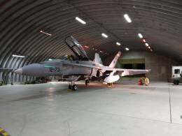 F-18 del Ejrcito del Aire (Ejrcito del Aire)