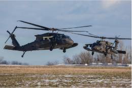 La aviación del Australian Army operará en breve una flota de 40 UH-60M de la firma norteamericana Sikorsky. (Australian Army)