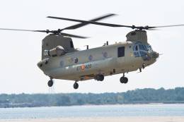 Chinook CH-47F de las Fuerzas Aeromviles del Ejrcito de Tierra (FAMET)