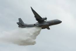 Versi�n apagafuegos del C295