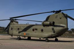 Todos los CH-47F del BHELTRA V llevan pintado en el piln el anagrama del 50 aniversario. (Foto Julio Maz)