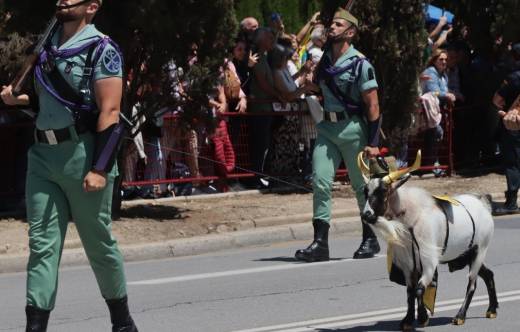  La cabra macho Julio César de la Legión levantó múltiples aplausos. (Julio Maíz)