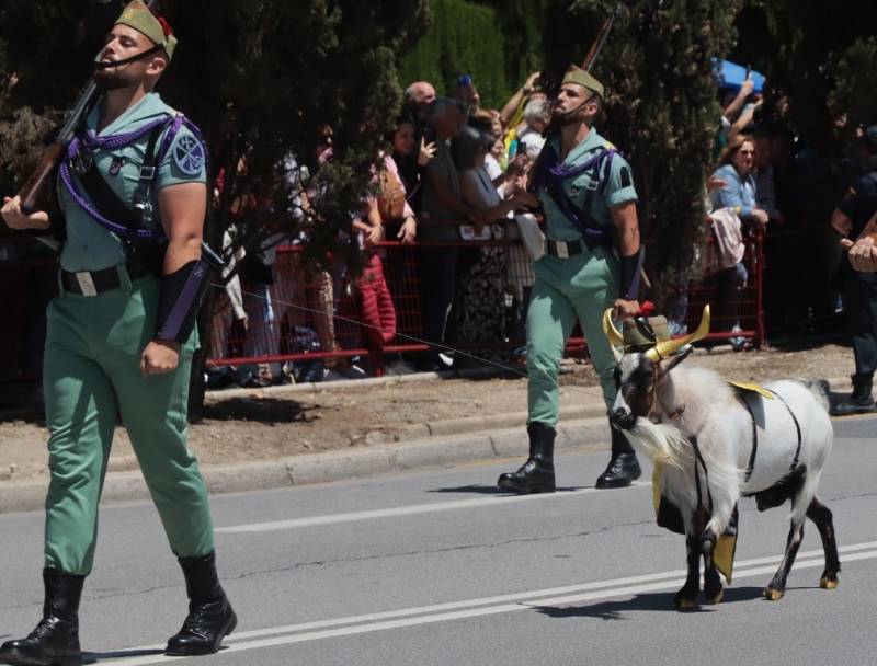 La cabra macho Julio César de la Legión levantó múltiples aplausos. (Julio Maíz) La cabra macho Julio César de la Legión levantó múltiples aplausos. (Julio Maíz)