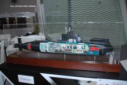 Los submarinos convencionales de ataque rusos P-750B Serval han sido habilitados para llevar minisubmarinos en el interior. (Octavio D�ez C�mara)