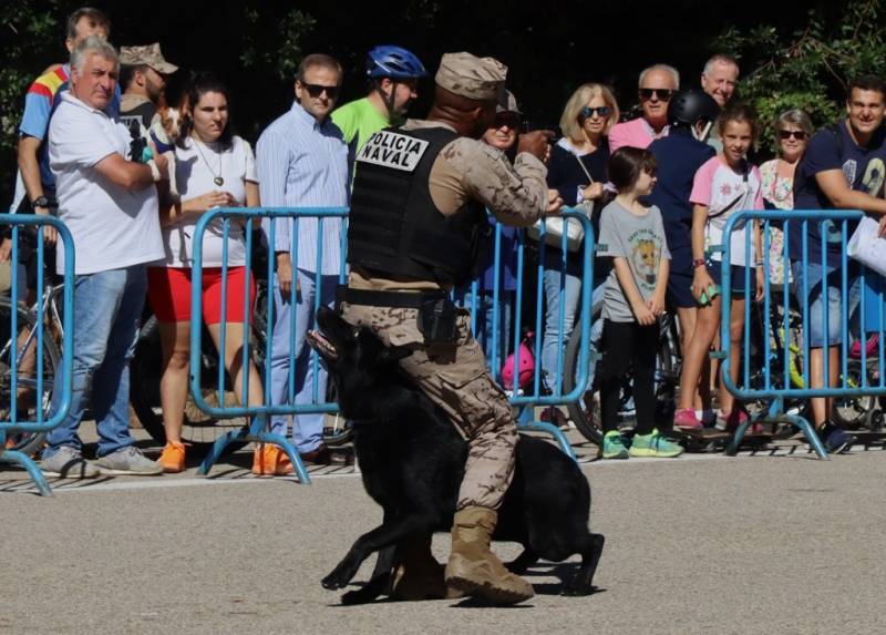 Momento de la exhibición de los equipos cinológicos de la AGRUMAD. (foto Julio Maíz Gutiérrez) Momento de la exhibición de los equipos cinológicos de la AGRUMAD. (foto Julio Maíz Gutiérrez)