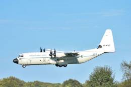 C-130J Hercules de la Fuerza A�rea de Argelia (foto de Mebarek Nebchi)