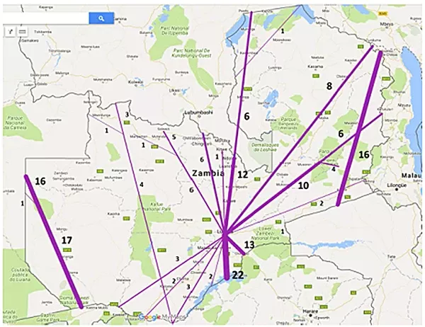 Flujos principales de la red de rutas domésticas de Zambia.