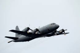 Avi�n de patrulla mar�tima P3C Ori�n