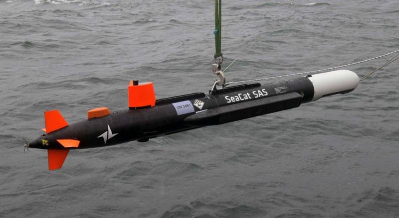 El sistema AUV ATLAS Elektronik GmbHIn SeaCat(foto ATLAS Elektronik) El sistema AUV ATLAS Elektronik GmbHIn SeaCat(foto ATLAS Elektronik)