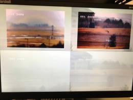 Im�genes captadas durante una tormenta de nieve. Las im�genes de arriba han sido mejoradas mediante la tecnolog�a de Lyyn (Lyyn)