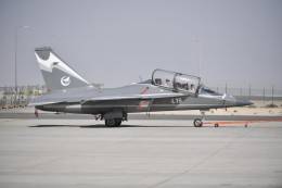 Avi�n de entrenamiento avanzado chino L-15  (Foto: CATIC/AVIC) 