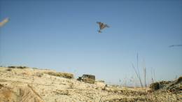 La munici�n merodeadora Harop (IAI)