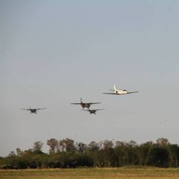 Alas fijas de la institucion.