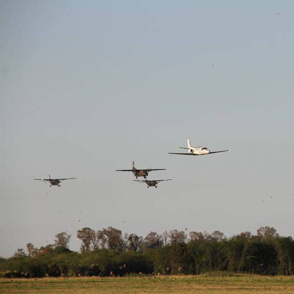 Alas fijas de la institucion. Alas fijas de la institucion.