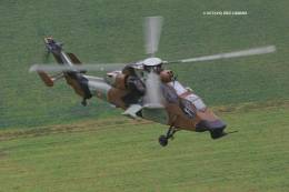 Los Tigre son pocos en nmero y exponerlos a determinados cometidos puede ser oneroso y peligroso. (Octavio Dez Cmara)