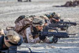 Fusiles de asalto G36 en calibre 5,56x45 (Estado Mayor de la Defensa)