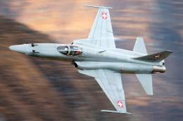 F-5E de la Fuerza Area de Suiza. (foto Peng Chen-wikipedia)