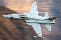 F-5E de la Fuerza A�rea de Suiza. (foto Peng Chen-wikipedia)