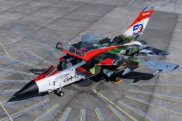 Espectacular imagen del Panavia �Tornado� IDS pintado para celebrar los 50 a�os del primer vuelo del modelo. (foto Andreas Zeitler, Airbus)