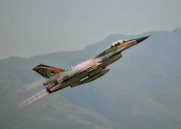 F-16A de la Fuerza A�rea de Venezuela (Foto: AMB)