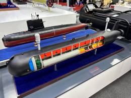 Se puede observar la disposicin interior del UUV300CD en la que sobresalen los tubos lanzatorpedos blancos de la parte proel. (Octavio Dez Cmara)