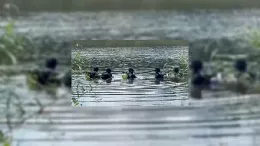 Foto: Ejrcito de Tierra