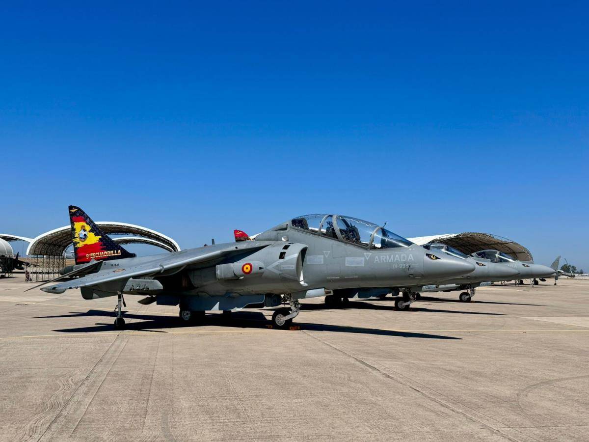 En primer plano el especialmente vinilado biplaza TAV-8 de Novena Escuadrilla. (Foto FLOAN) En primer plano el especialmente vinilado biplaza TAV-8 de Novena Escuadrilla. (Foto FLOAN)
