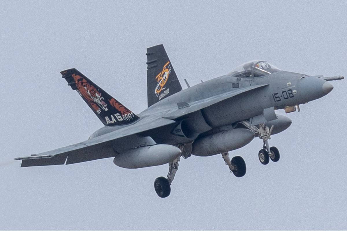 Otro de los aviones especialmente decorados, es este EF-18M del Ala 15, que recuerda en sus estabilizadores los 35 años de la Unidad. Otro de los aviones especialmente decorados, es este EF-18M del Ala 15, que recuerda en sus estabilizadores los 35 años de la Unidad.