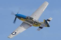 El P-51D Moonbeam Mcswine durante la exhibicin de vuelo en 2016. (Foto Wikipedia-Alan Wilson)