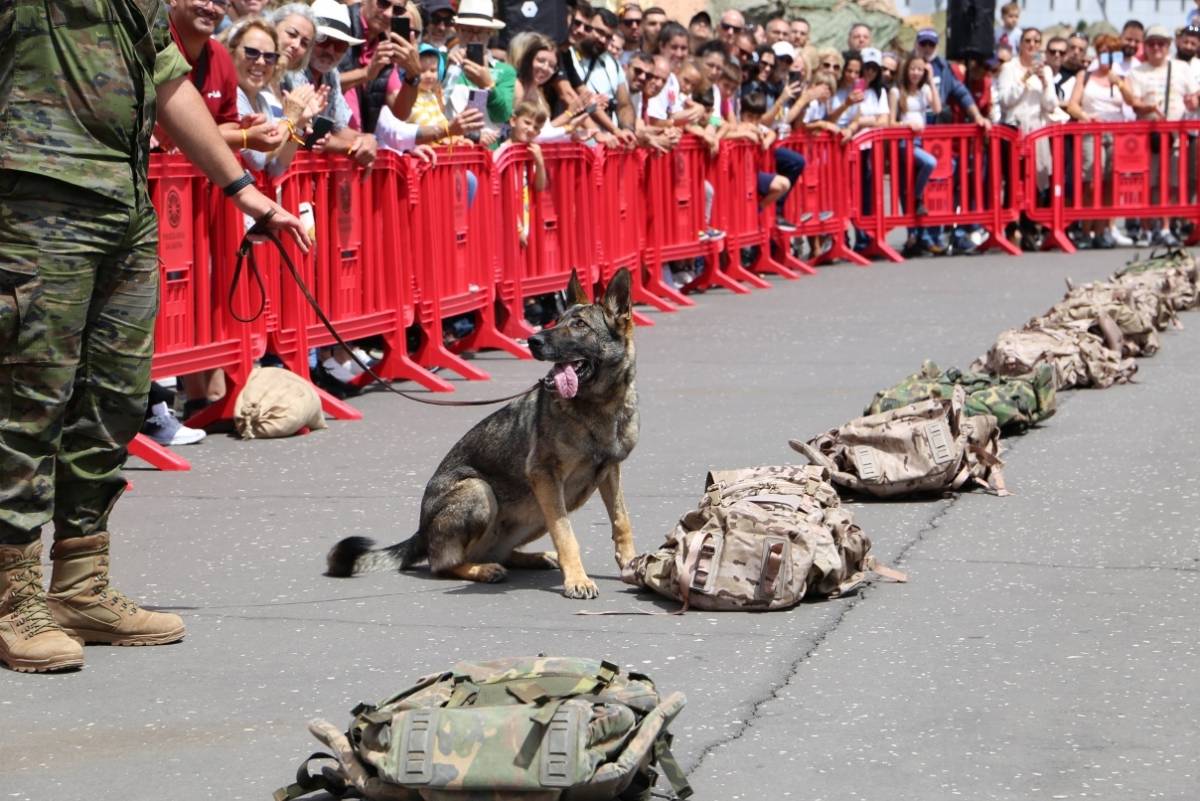 Exhibición dinámica del Equipo Cinológico. Foto archivo DIFAS 24. Exhibición dinámica del Equipo Cinológico. Foto archivo DIFAS 24.