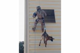 Los equipos cinolgicos (gua-perro) se entrenan en todo tipo de situaciones. (foto Armada espaola)