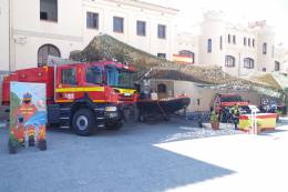 Vehculos de la UME que se exhibirn. (foto: Ejrcito de Tierra)