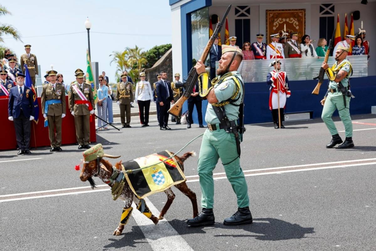 El carnero “Camarón” de la Legión desfilando frente al Rey. (foto Ruben Somonte/MDE) El carnero “Camarón” de la Legión desfilando frente al Rey. (foto Ruben Somonte/MDE)