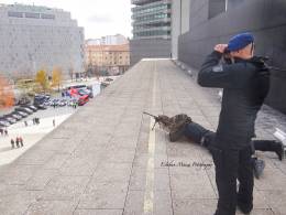 Miembros del GOES de Polica Nacional dando seguridad a un evento desde un puesto de tiradores en altura. (foto: Esteban Maiza)