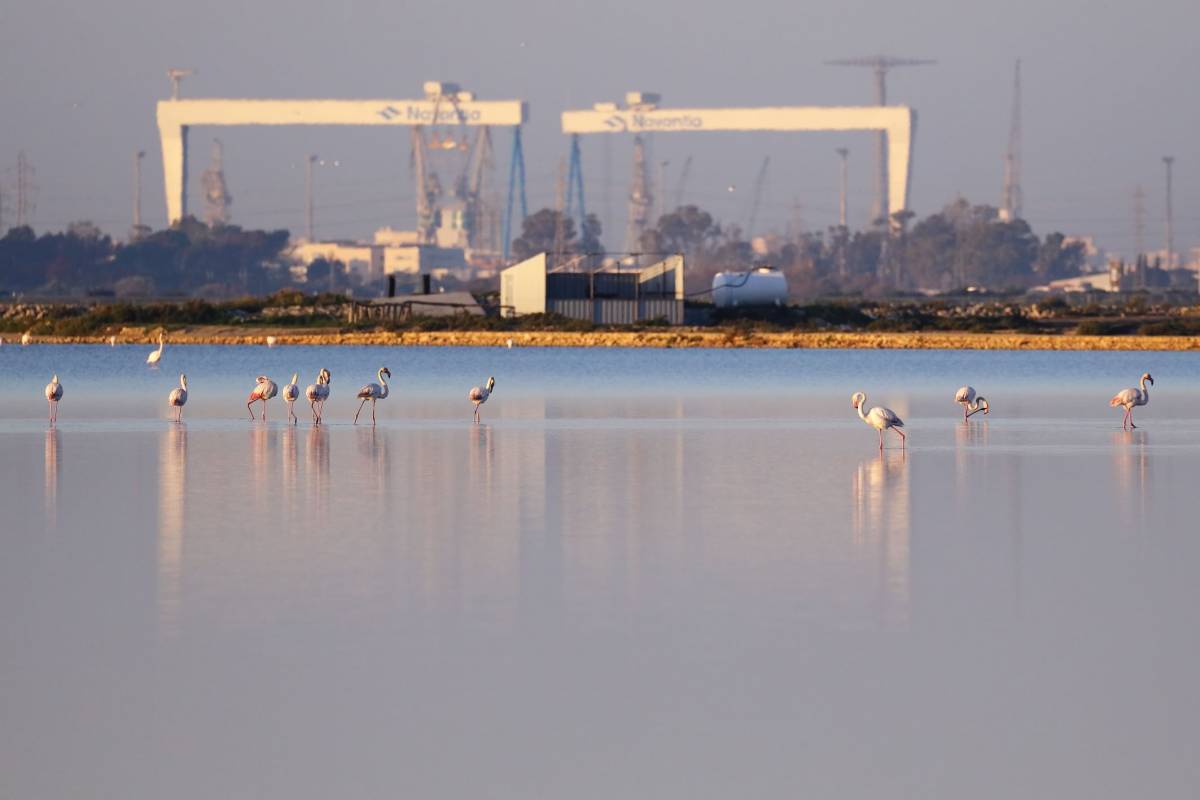Astillero de Navantia (Mercedes Cuesta vía Navantia) Astillero de Navantia (Mercedes Cuesta vía Navantia)
