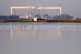 Astillero de Navantia (Mercedes Cuesta v�a Navantia)