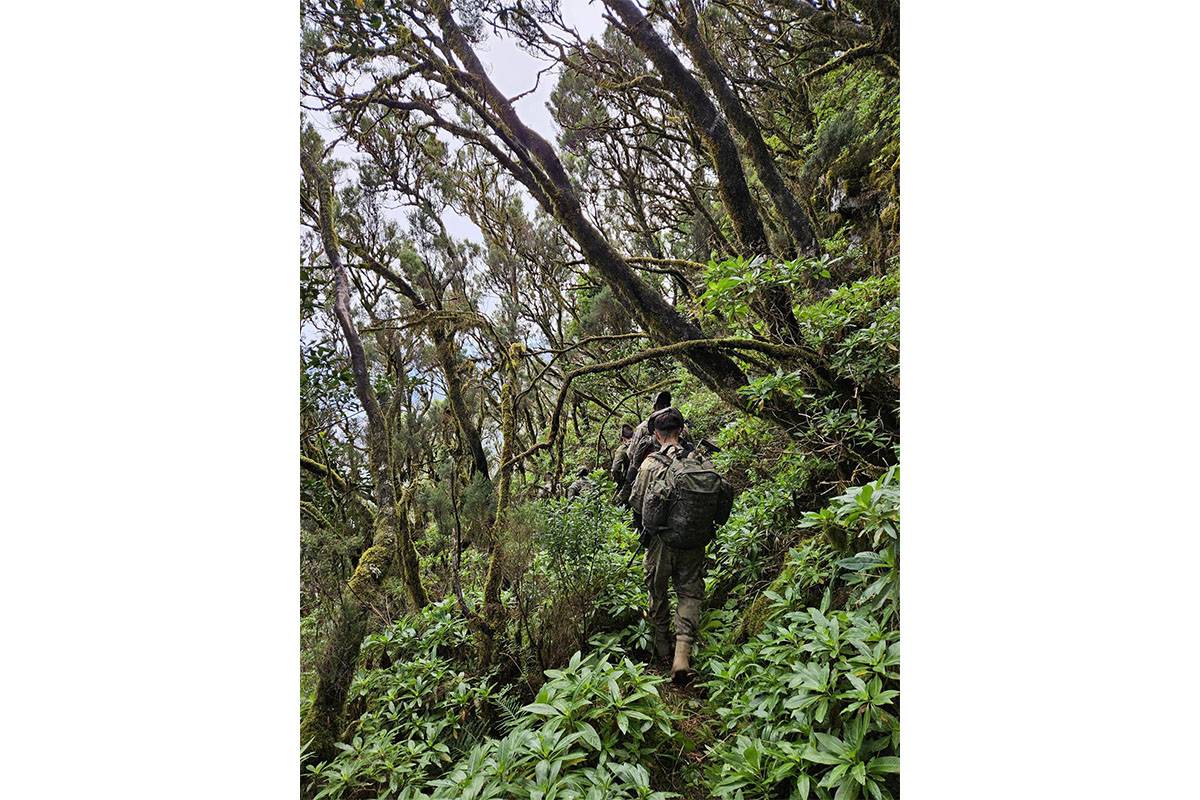 Despliegue del Grupo Táctico Canarias en La Palma. (foto: Ejército de Tierra) Despliegue del Grupo Táctico Canarias en La Palma. (foto: Ejército de Tierra)