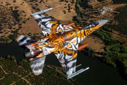 La espectacular decoraci�n del F-16A de la Esquadra 301 portuguesa. (foto FAP)