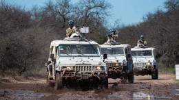 Veh�culos Agrale Marru� del Ej�rcito Argentino con el esquema ONU. (foto: Ej�rcito Argentino)
