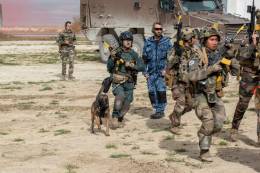 La participacin de agentes y perros del GAR en ejercicios militares es un impulso favorable a las capacidades de este grupo de lite de la Guardia Civil. (Arme de terre)