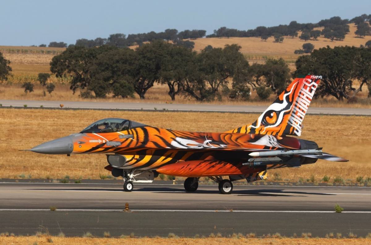 El F-16A MLU de la Esquadra 301 mereci el premio de la aeronave participante mejor pintada con motivos especiales o Best Tiger Aircraft.
